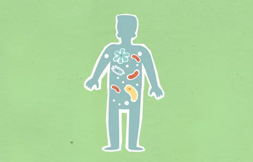 The Dual Influence of Genetics and Environment on the Gut Microbiome