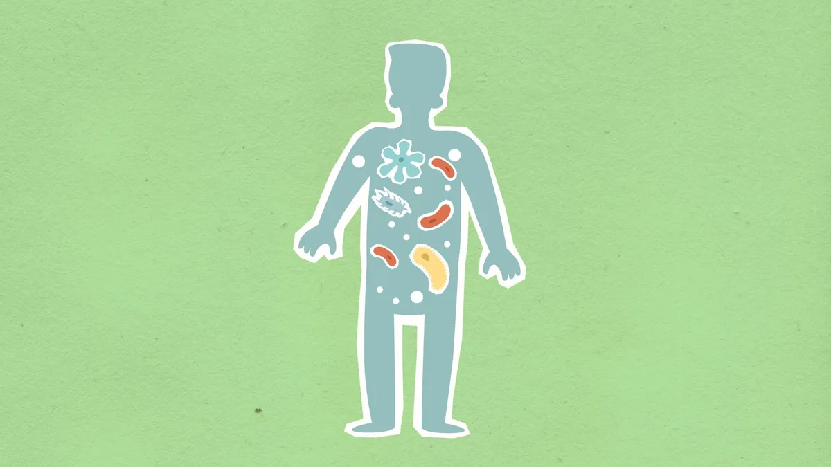 The Dual Influence of Genetics and Environment on the Gut Microbiome