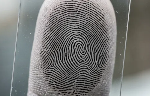 Fingerprint pattern on a transparent slide held against a finger