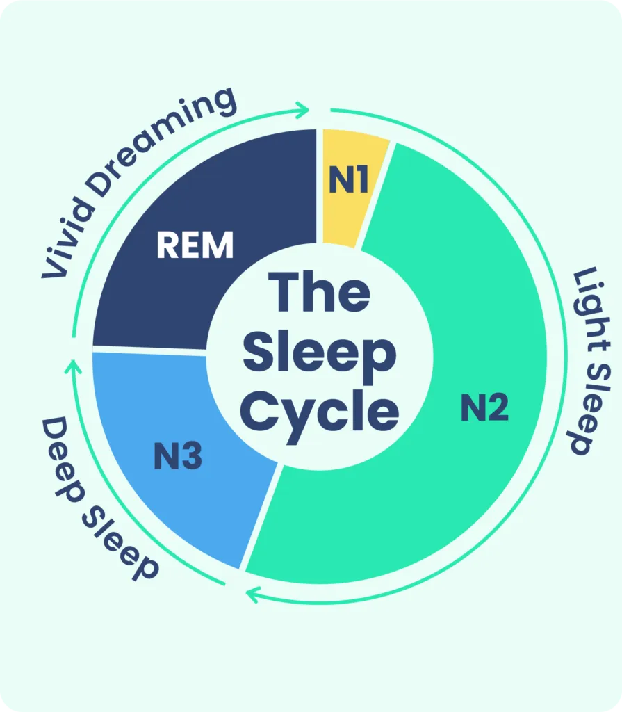 (2025). A diagram of the sleep cycle. [Diagram]. From https://www.sleepfoundation.org/stages-of-sleep