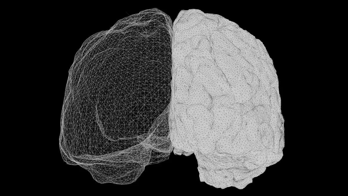 Are Dreams Connected to Science?